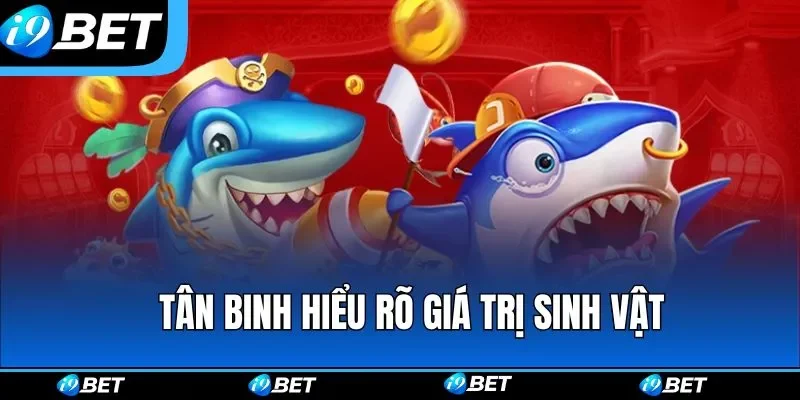 Tân binh hiểu rõ giá trị sinh vật