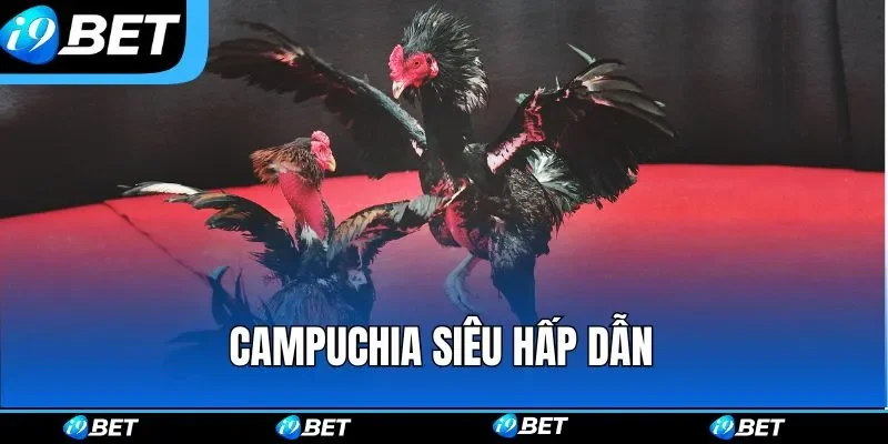 Campuchia siêu hấp dẫn Campuchia siêu hấp dẫn