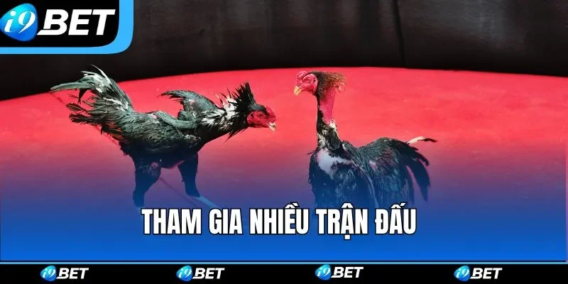Tham gia nhiều trận đấu Tham gia nhiều trận đấu