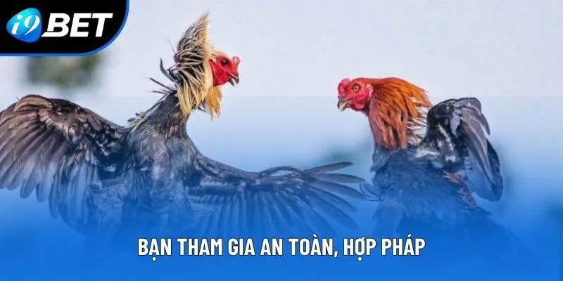 Bạn tham gia an toàn, hợp pháp Bạn tham gia an toàn, hợp pháp