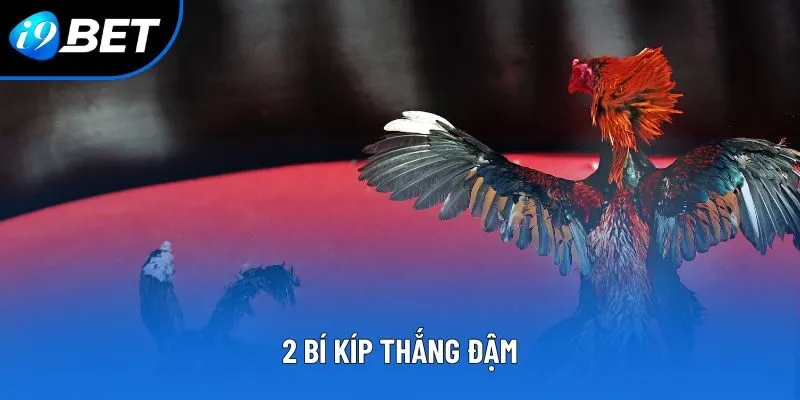 2 bí kíp thắng đậm 2 bí kíp thắng đậm