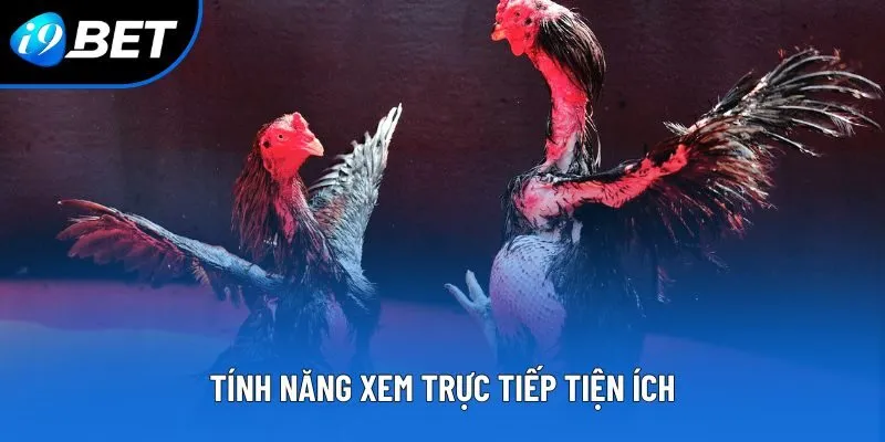 Tính năng xem trực tiếp tiện ích Tính năng xem trực tiếp tiện ích